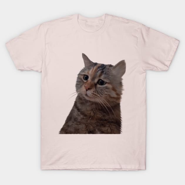 Adorable kitty meme T-Shirt by PrimeStore